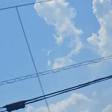 Profile image of ブリ子