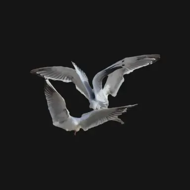 Profile image of 문락