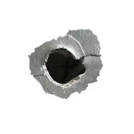 Profile image of 윌리엄 샌더슨