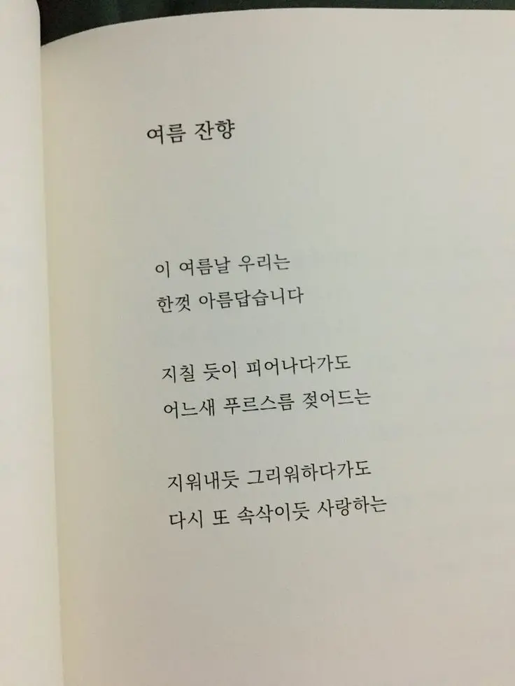 youthloveexpert.의 청춘은 여름방학