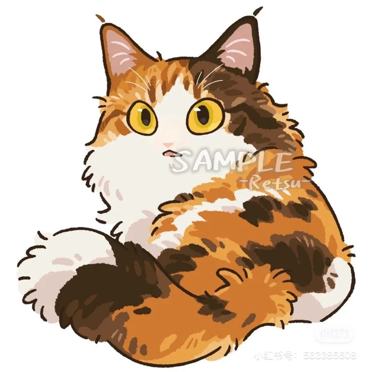 오요