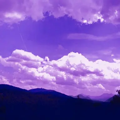 Profile image of 오토 레이니