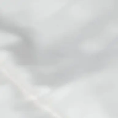 Profile image of 준브래드
