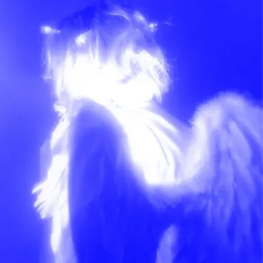 Profile image of 파이브