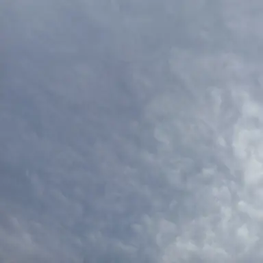 Profile image of 야마다 히자시