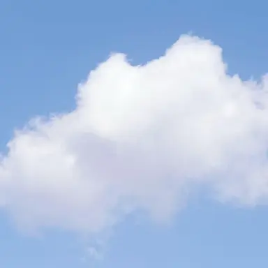 Profile image of 우참