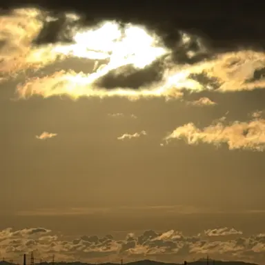 Profile image of 田中 美咲