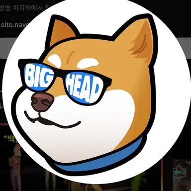 Profile image of 빅혜드