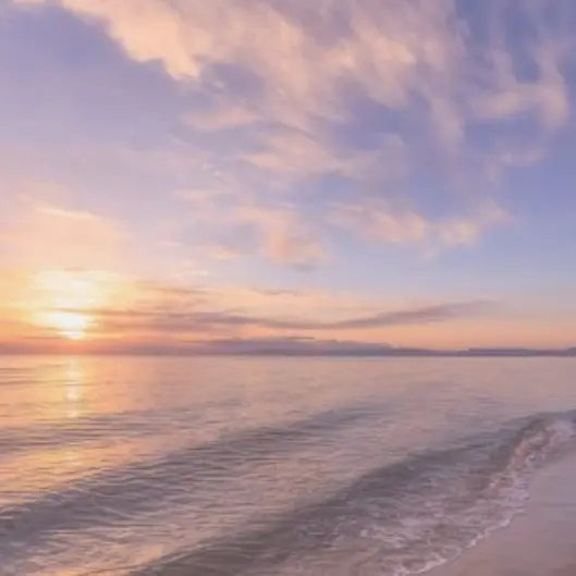 StingyPetal0041의 あは