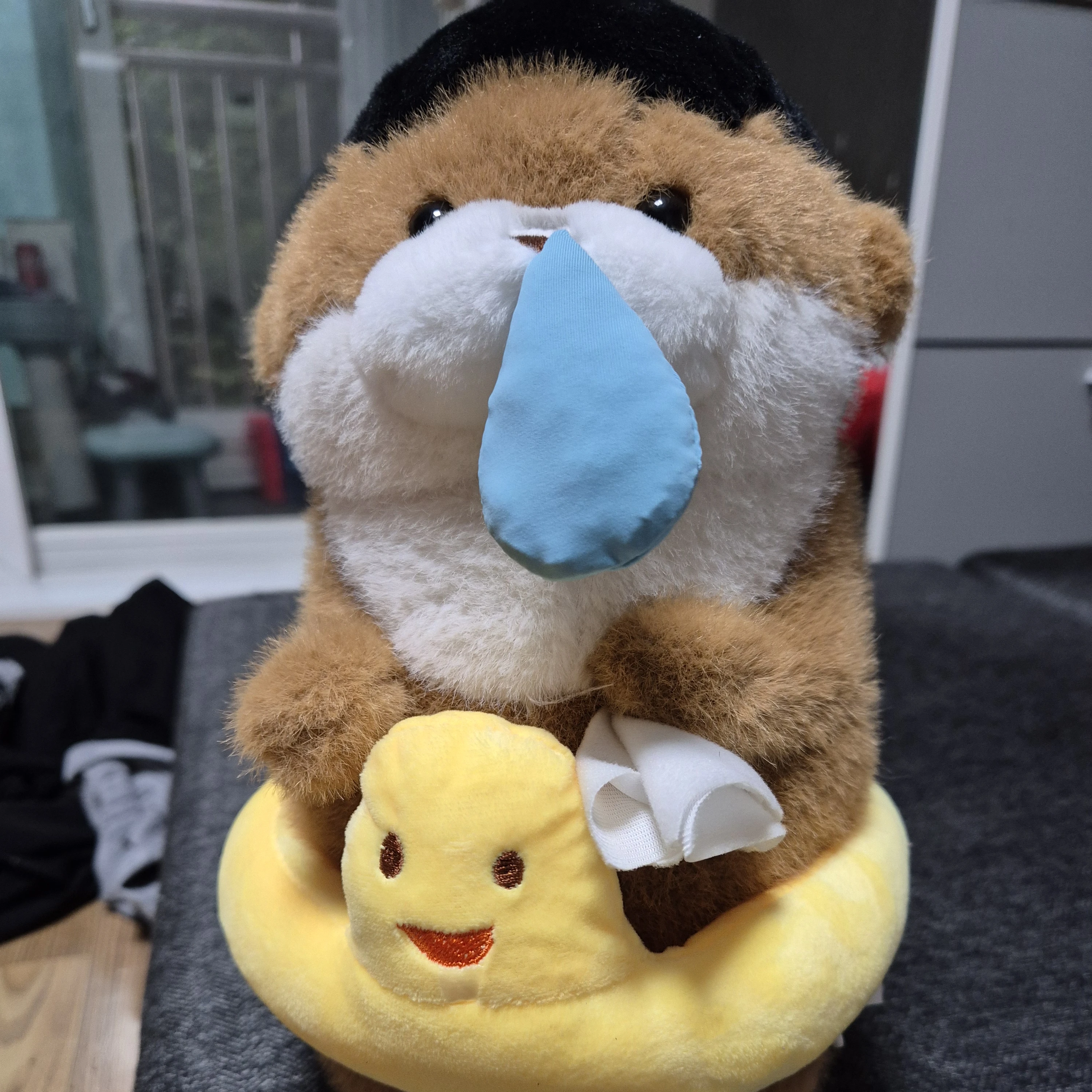수지
