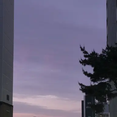 Profile image of 연월