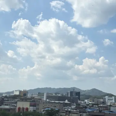 Profile image of 사조 승