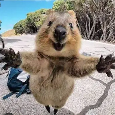 Profile image of 유기사