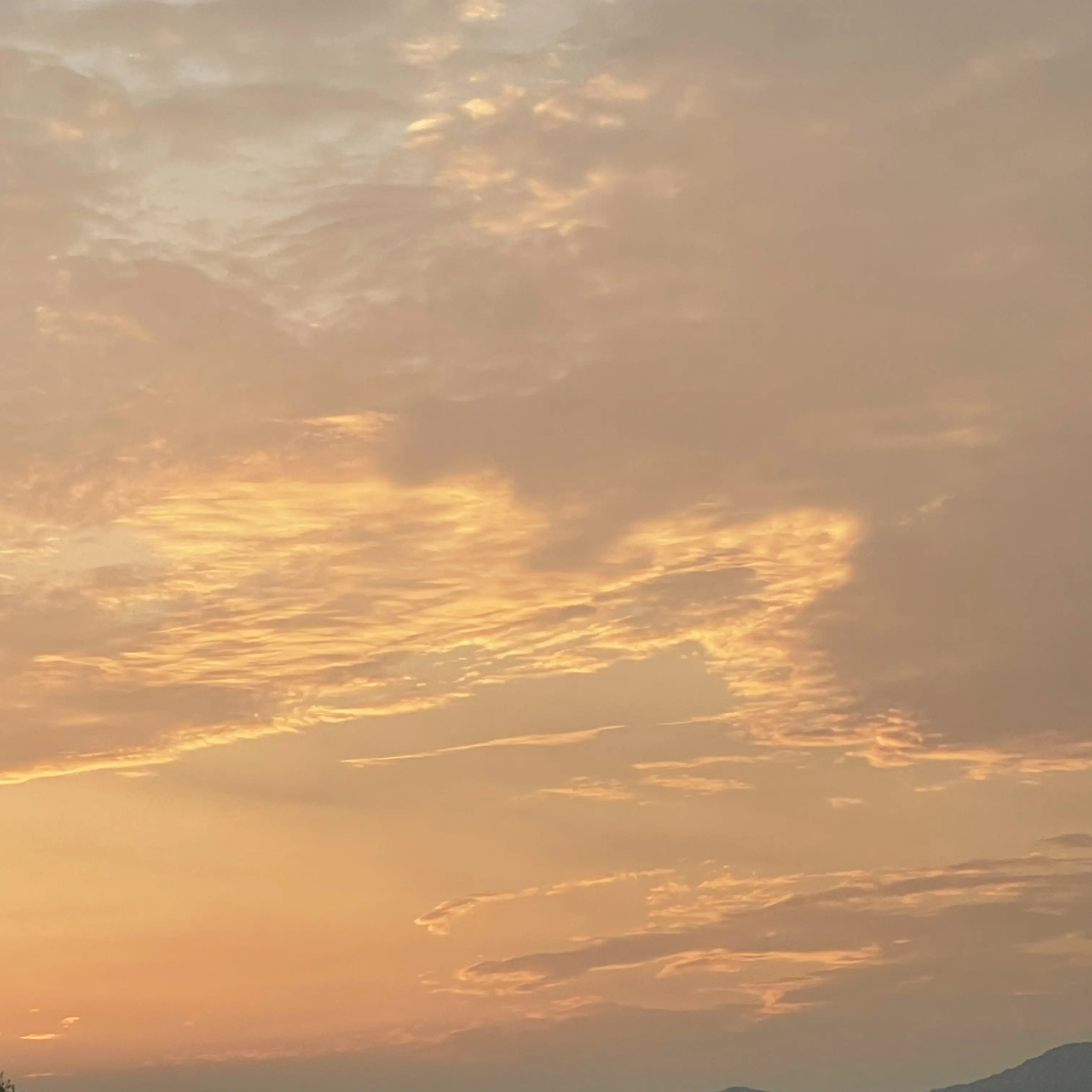 HandyQuake2423의 사랑했다..그리고 또..사랑한다..