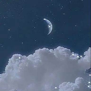 Profile image of 天馬 司