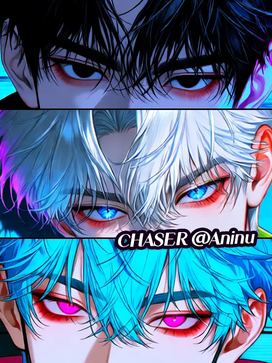 Aninu의 체이서(CHASER)