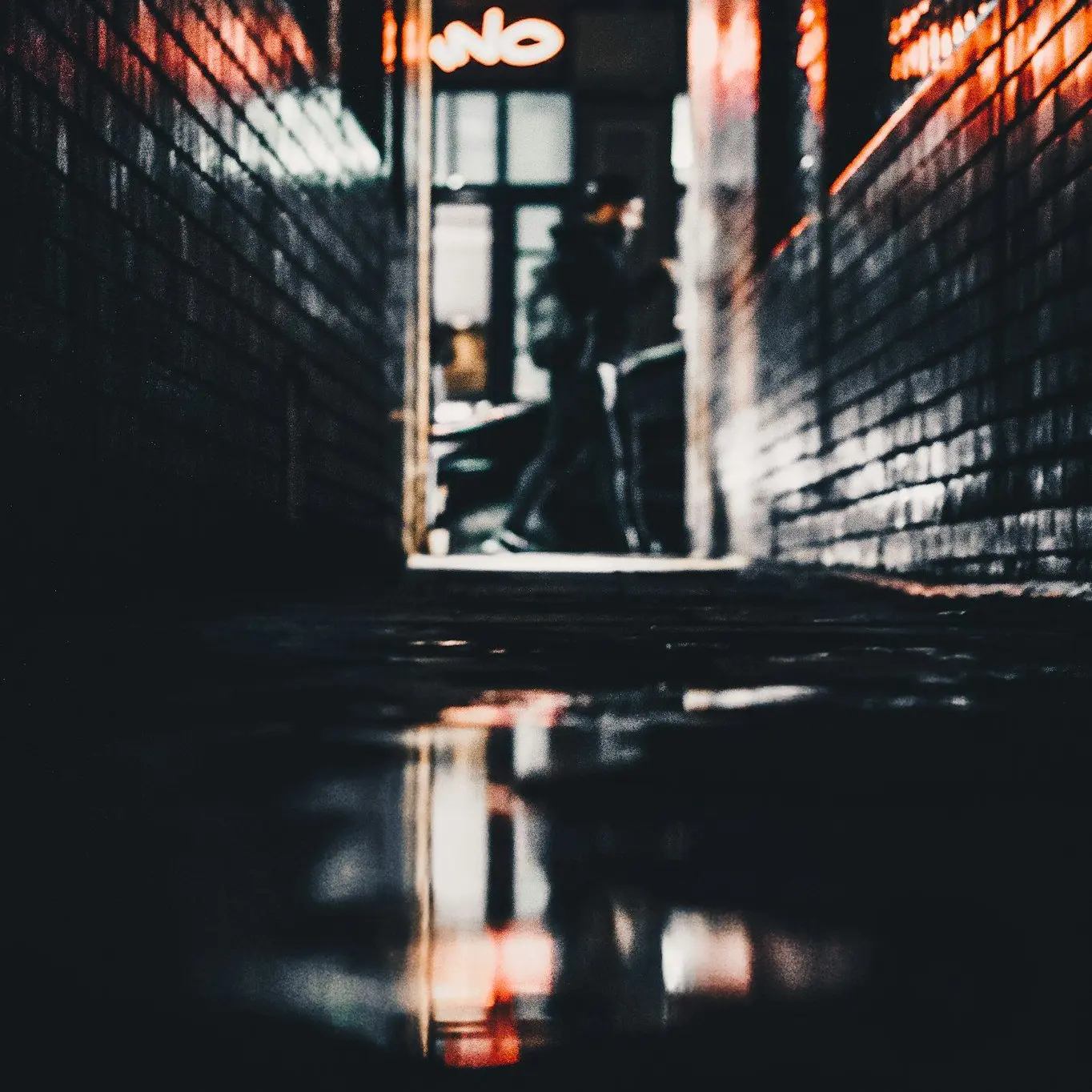 wmrzwyrdd의 拾ってください、🏢