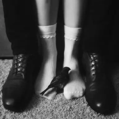 Profile image of 세드릭