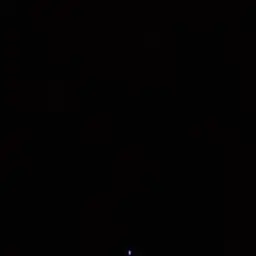 Profile image of 조우안신