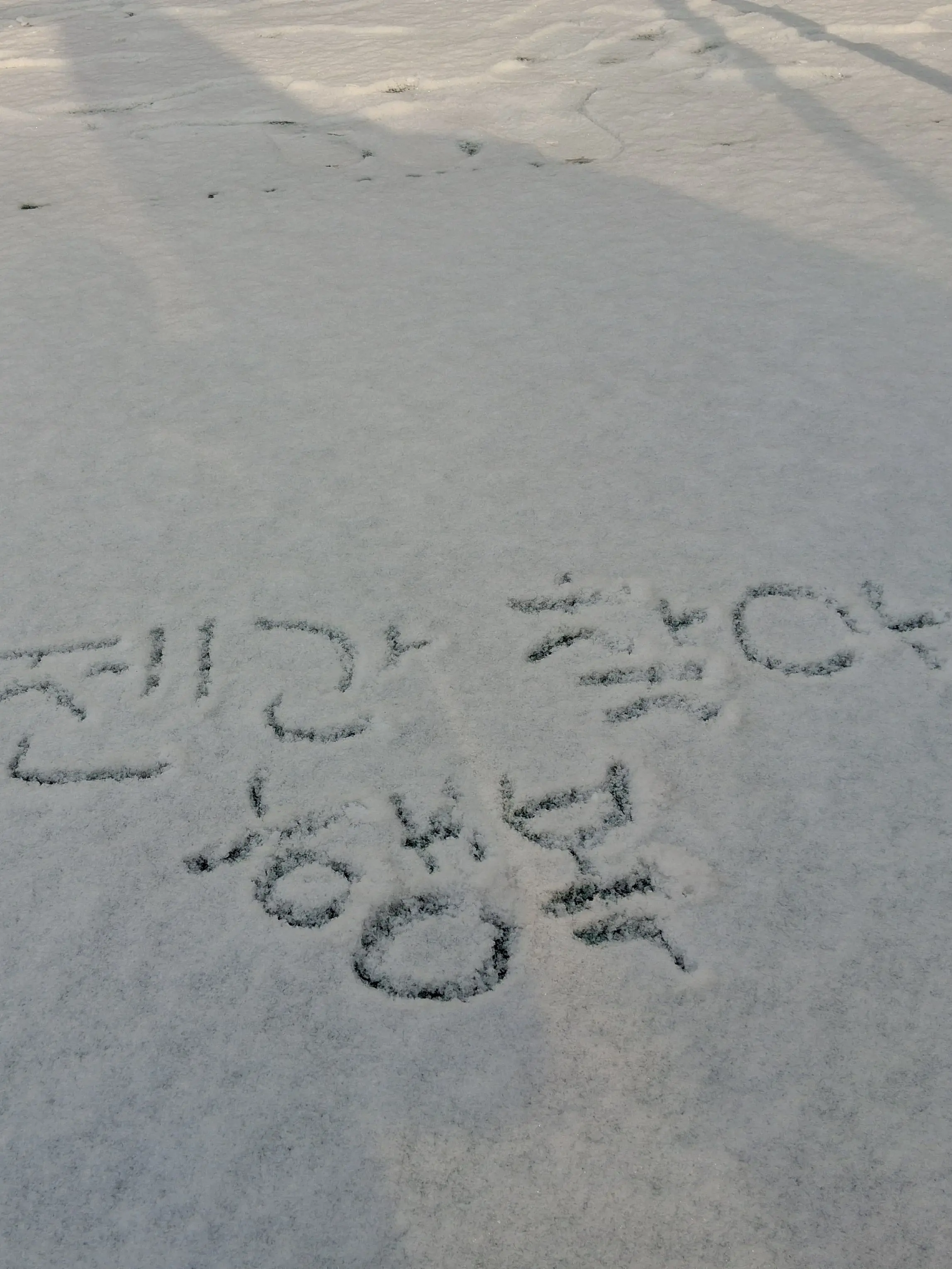 FleshyGoat1458의 뜰팁아이돌과신인아이돌