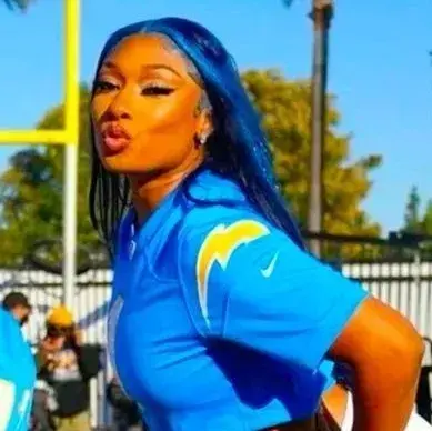 RelishGrebe3910의 Megan thee stallion