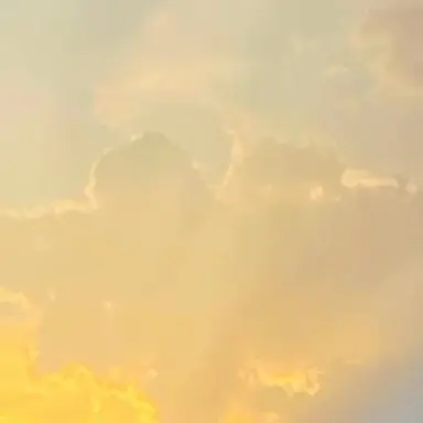 Profile image of Fumiya Takao