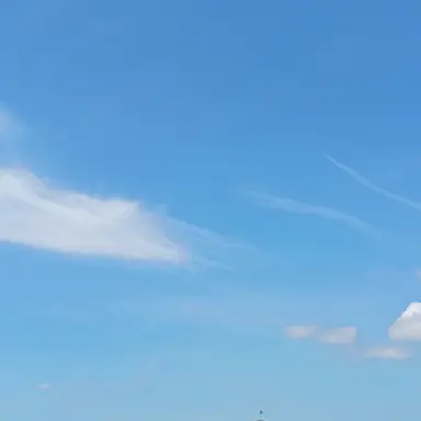 Profile image of 髙塚大夢