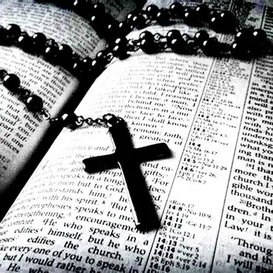 Profile image of 세드릭