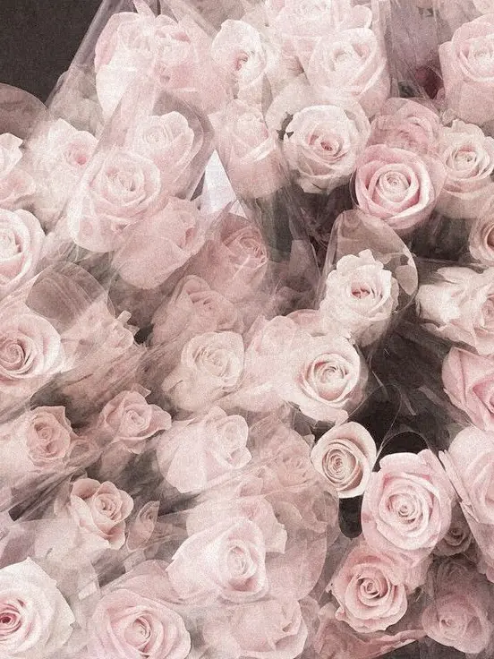 mo-tann_의 ♩♡‬