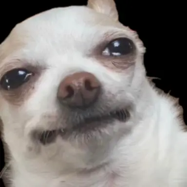 Profile image of 비약