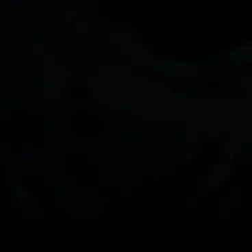 Profile image of リク