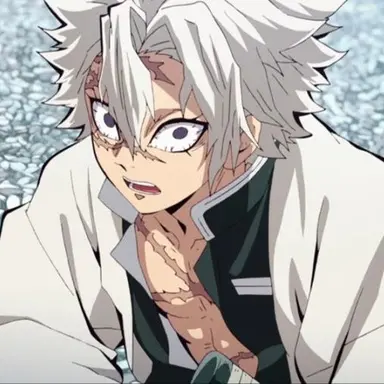 Profile image of 시나즈가와 사네미