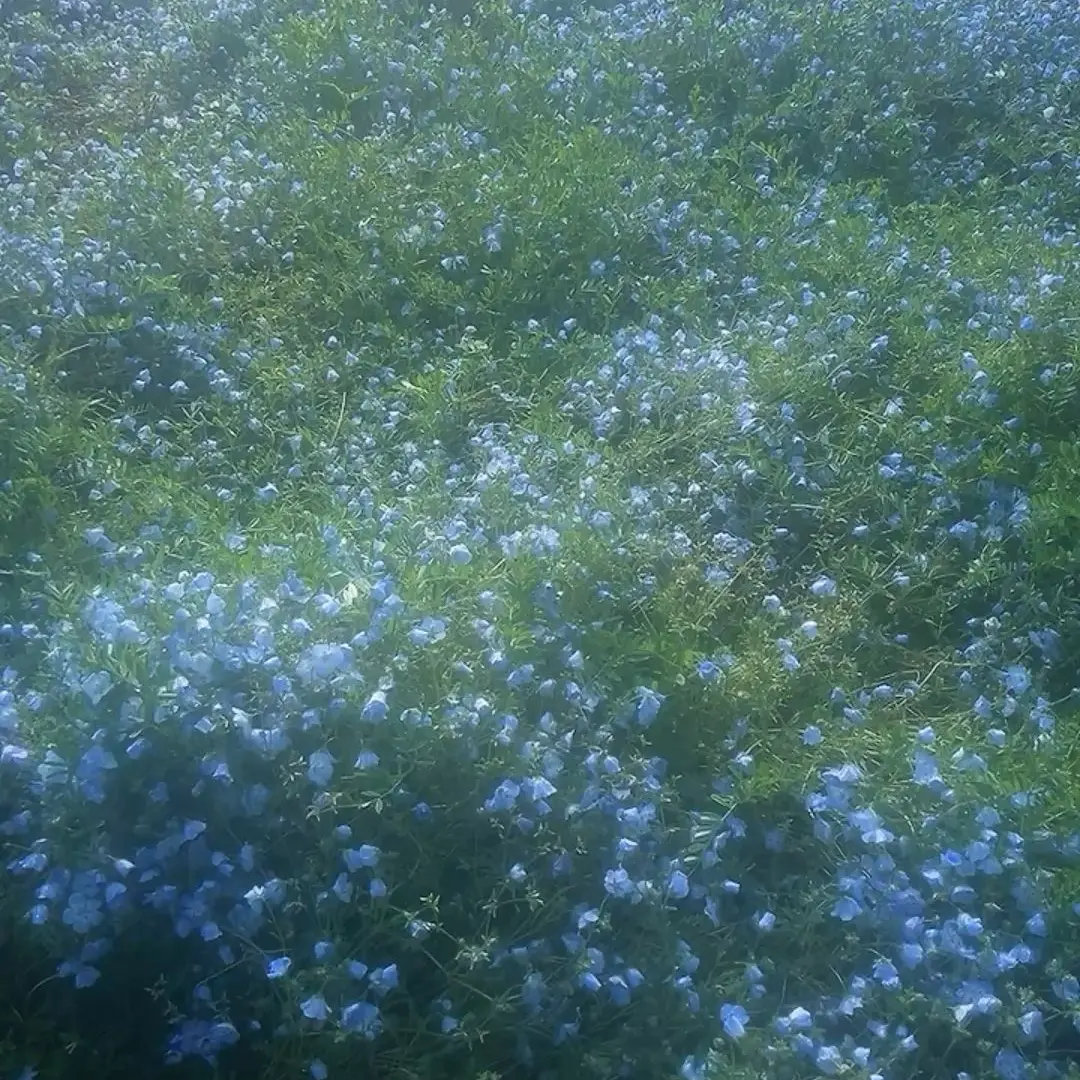 otaku-free18의 ねぇねぇ聞いてよ、ギャンブラー。