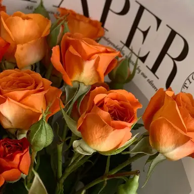 Profile image of 박덕개