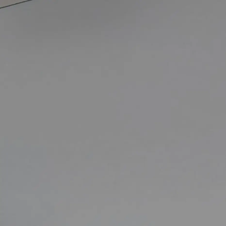 VainWood6467의 純血(?)とハーフ