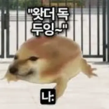 Profile image of 댕댕쿤