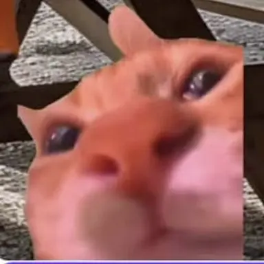 Profile image of 고영희 사촌동생