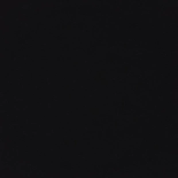 레이븐