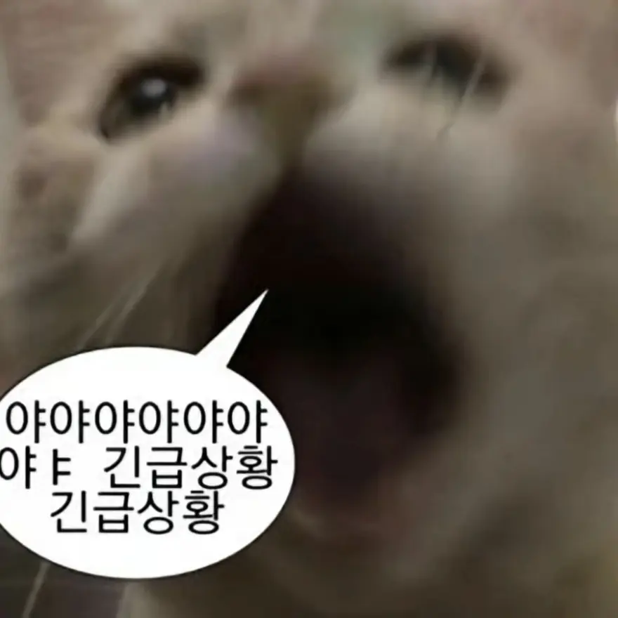 EarlyCode0287의 안재원