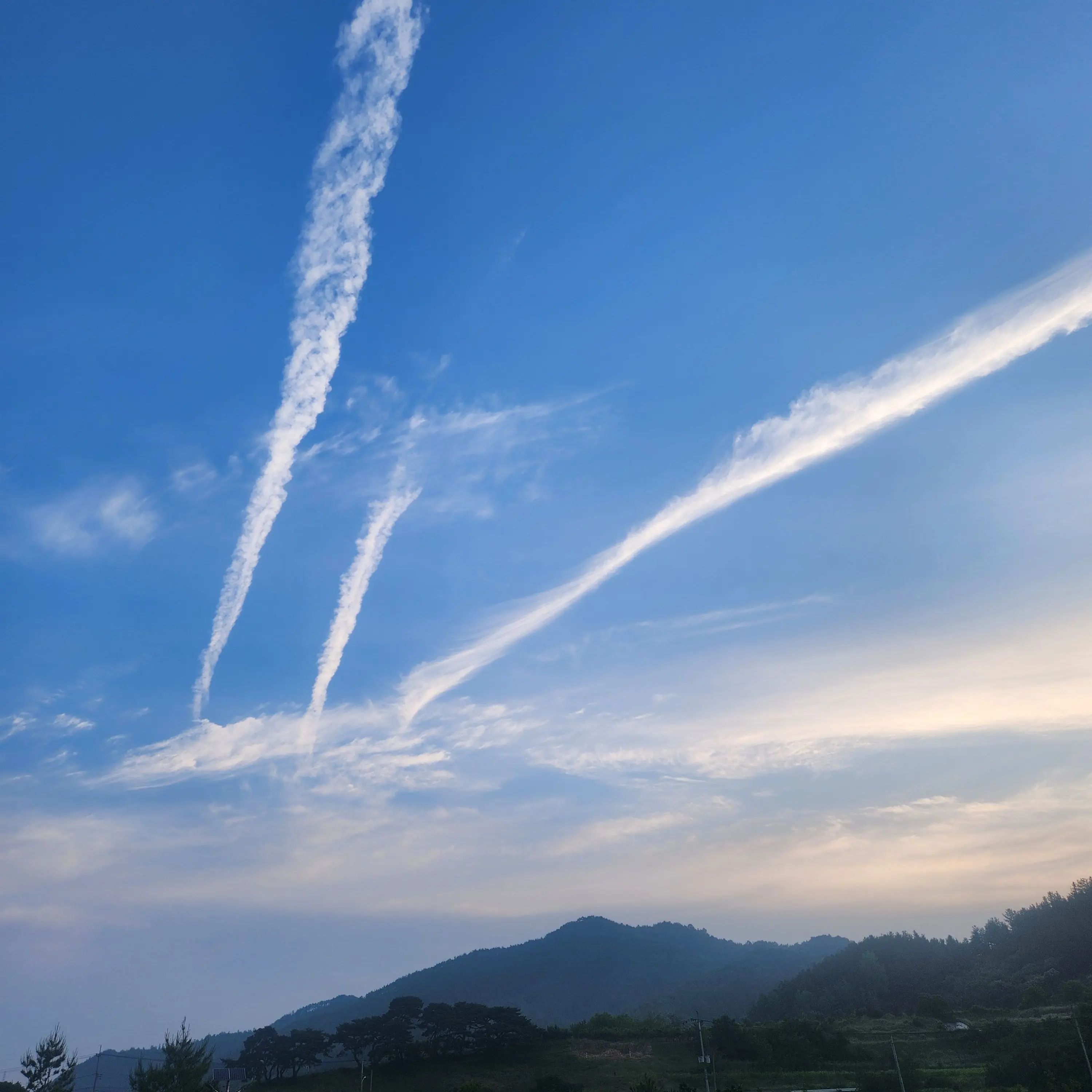 TOT_TOT의 박동원