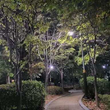 Profile image of 임시완