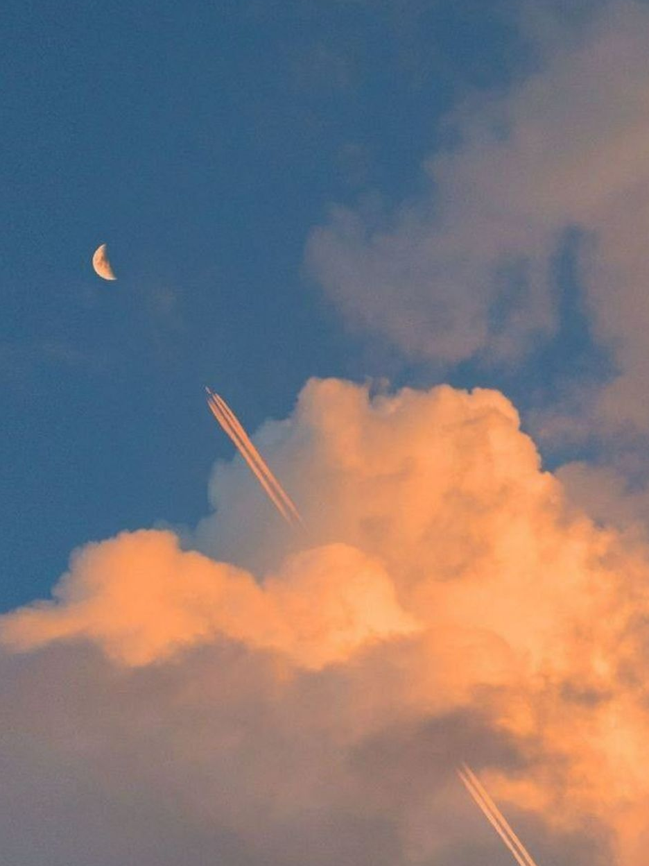 ´ ▾ ` 대표 이미지