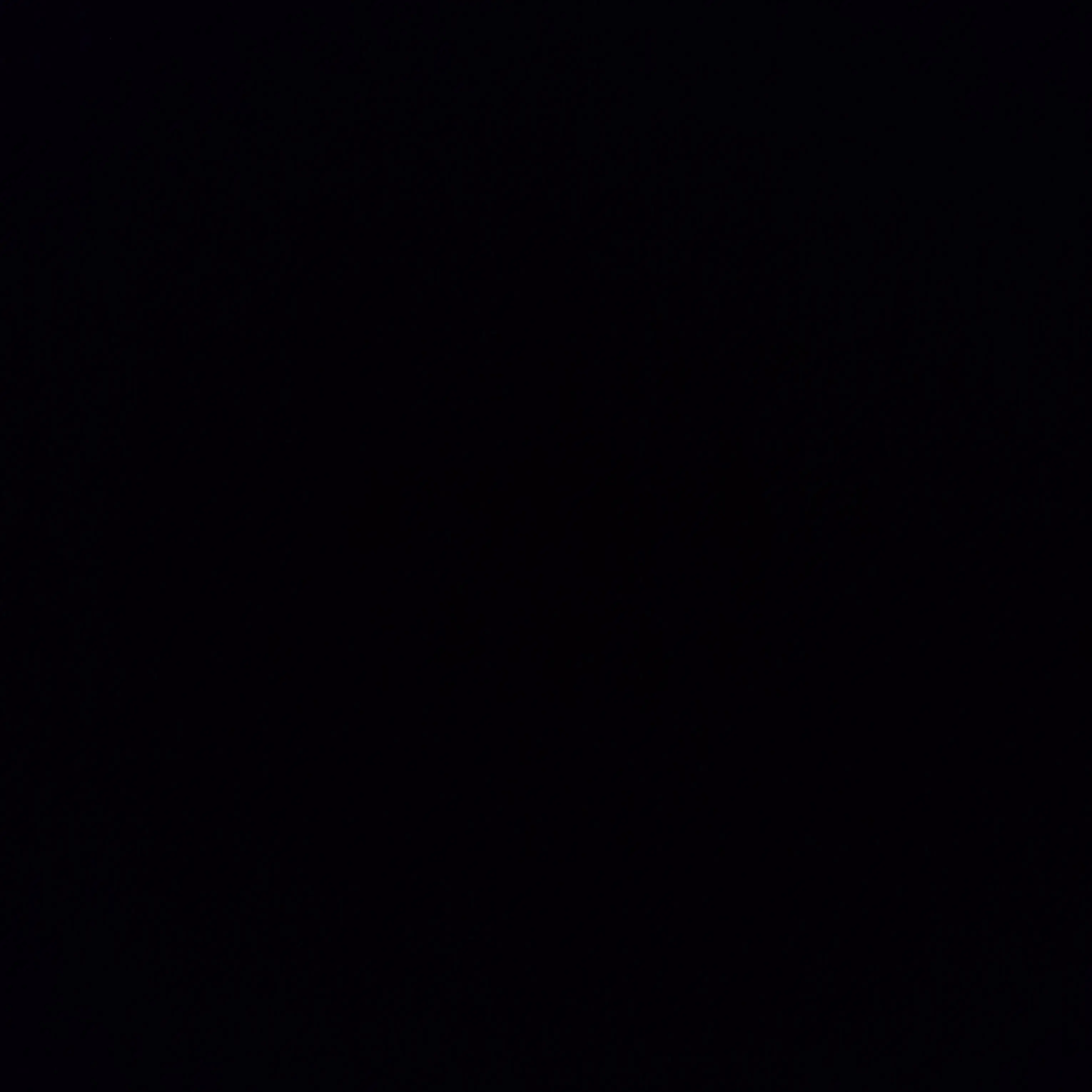 Ssssey의 스키즈 해적단