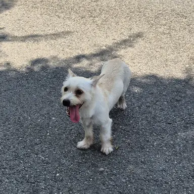 Profile image of 뜰팁들