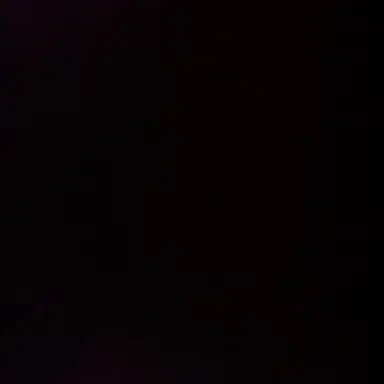 Profile image of 서우진