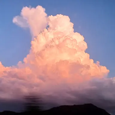 Profile image of 정수연