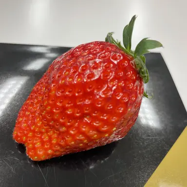 Profile image of ユーキ