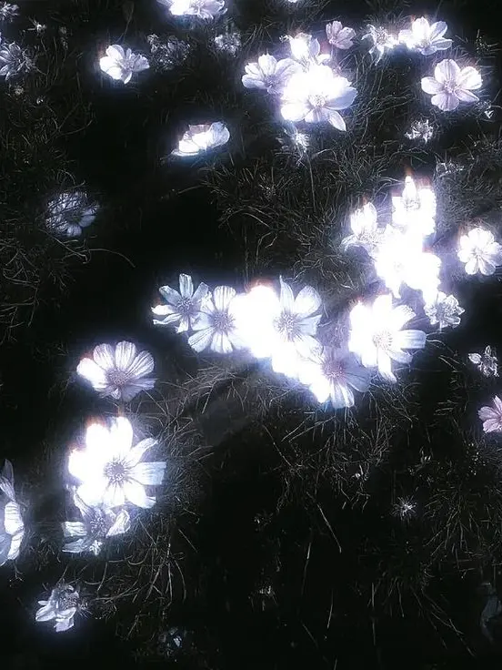 mo-tann_의 *༺♱༻*