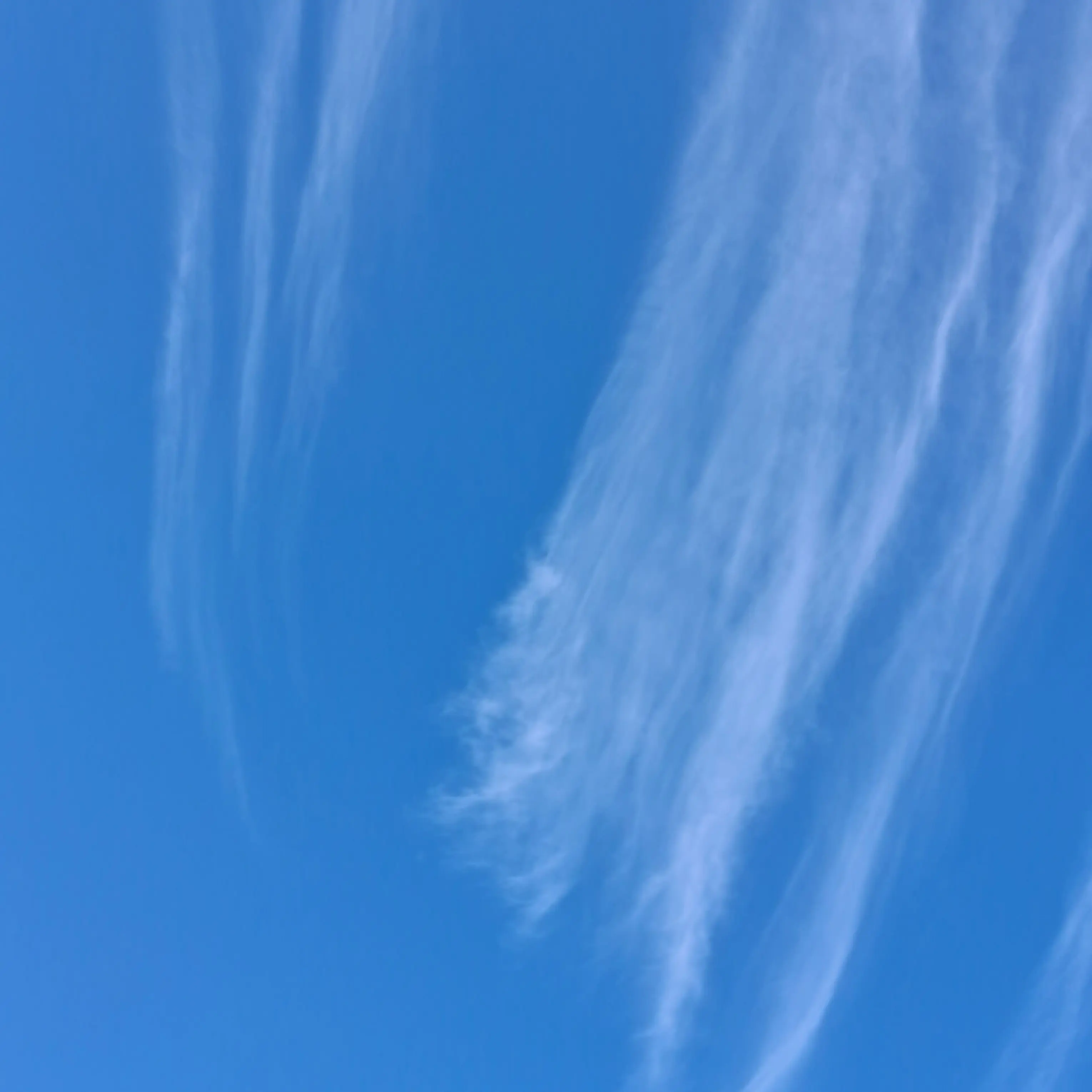 VoicedRobe1747의 내 맴