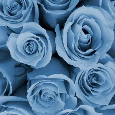 Profile image of 잠뜰